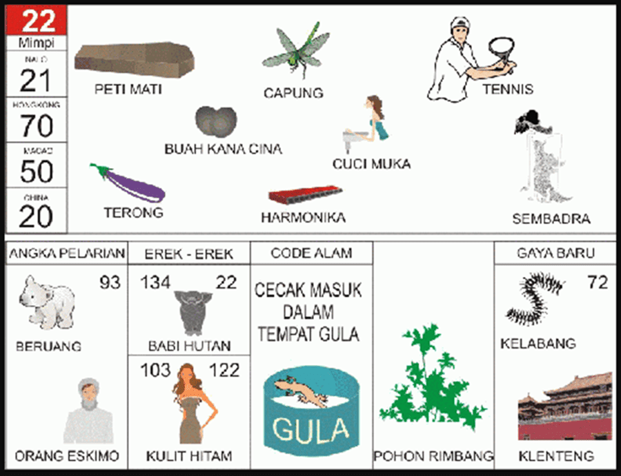 22. buku mimpi 2d bergambar capung.png